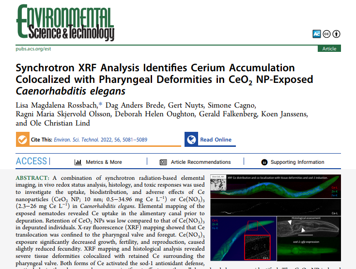 Paper. Synchrotron XRF Analysis...