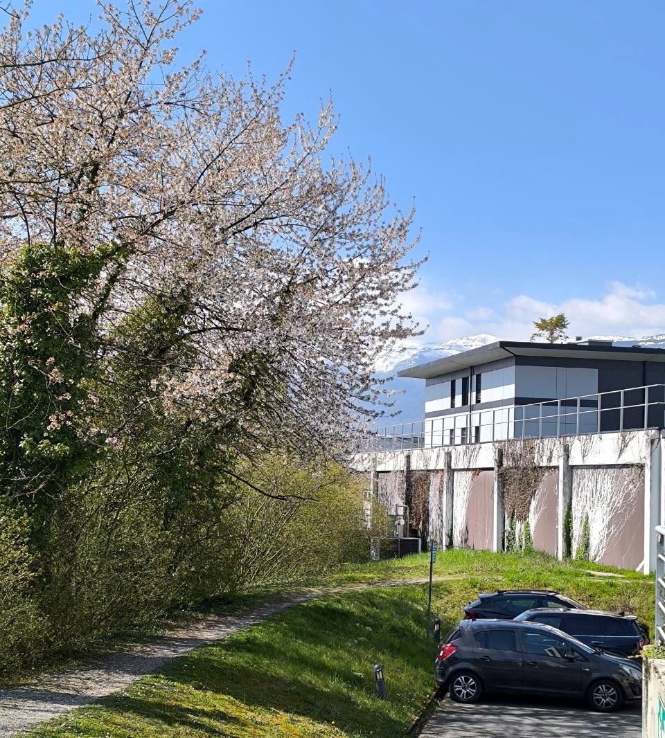 Весеннее фото ЦЕРН